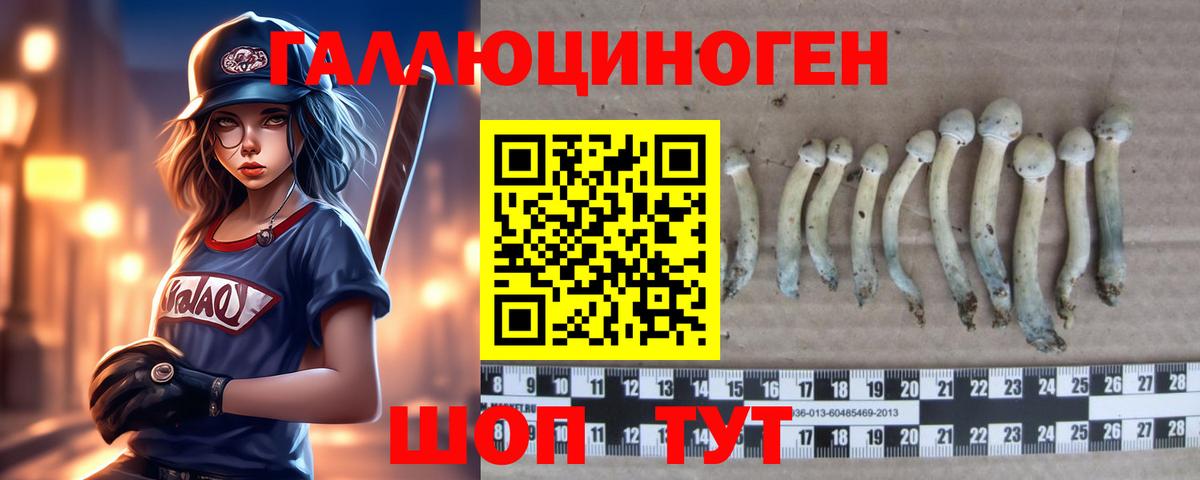 Псилоцибиновые грибы прущие грибы  Галлюциногенные грибы мухоморы  Курчалой  Вход с VPN 