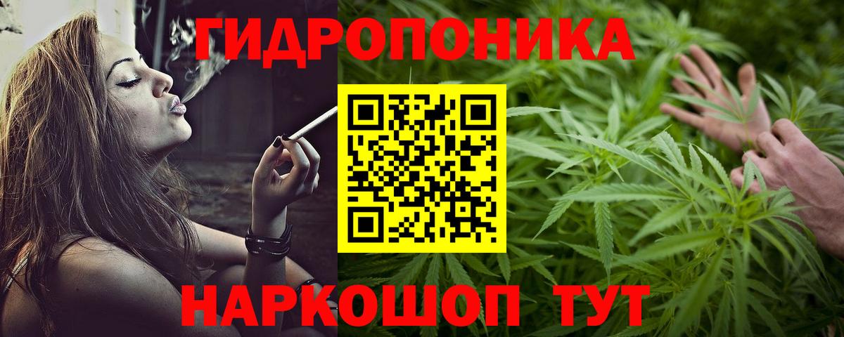 Марихуана SATIVA & INDICA Курчалой